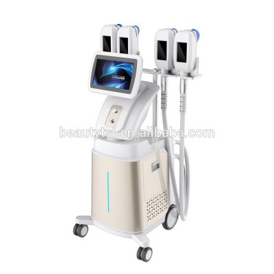 Professional lingmei beauty body slimming 360 criolipolisis machine cryolipolysis